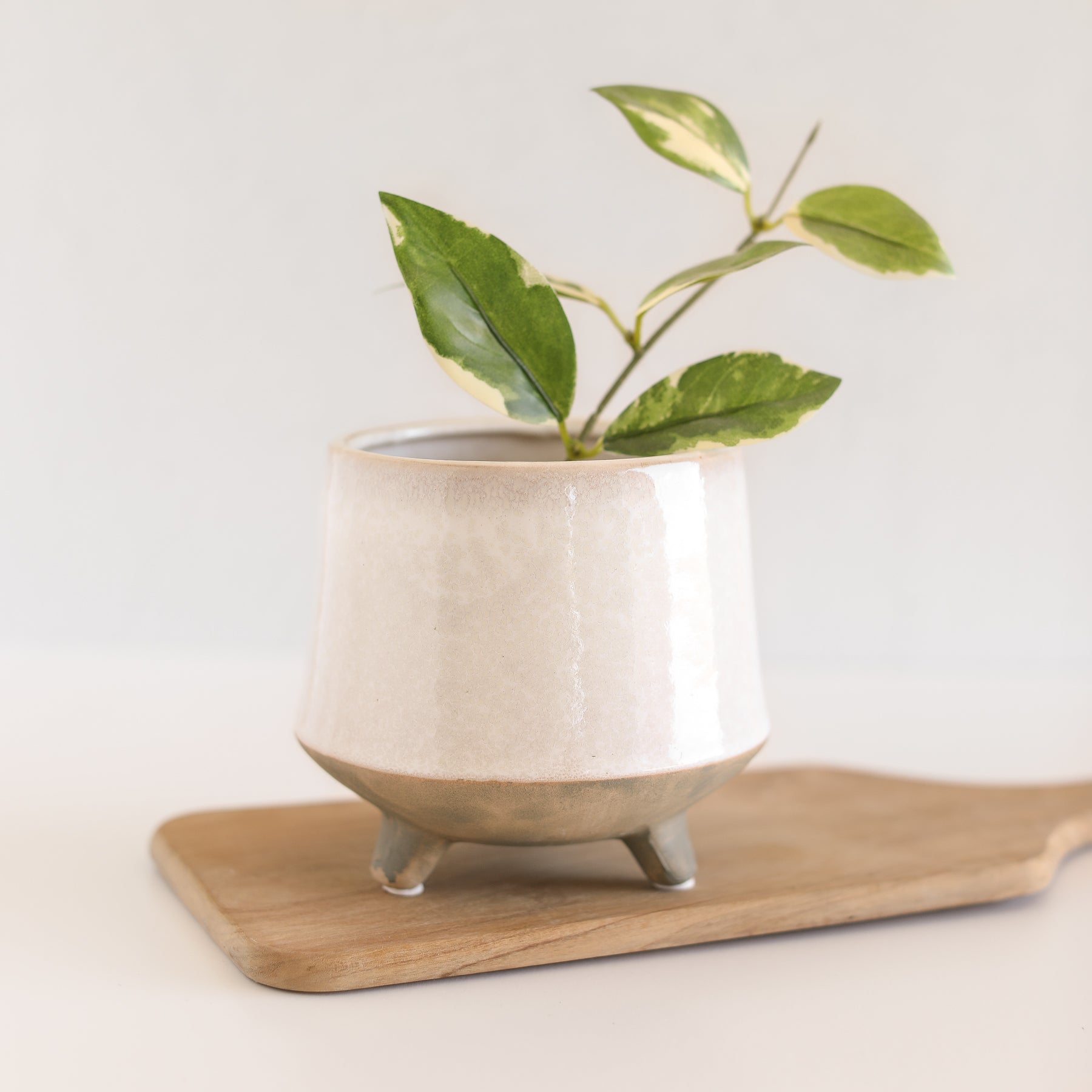 Stoneware Footed Planter