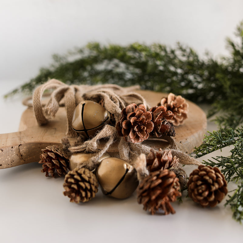 Jingle Bell and Pinecone Door Hanger