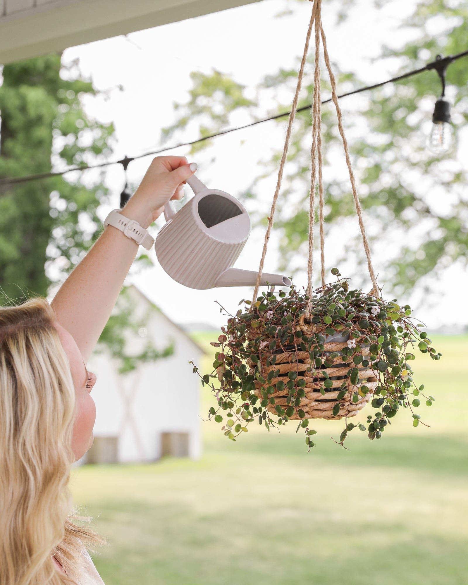 water hyacinth plant pot Hanging Water Hyacinth Planters – Grow + Gather