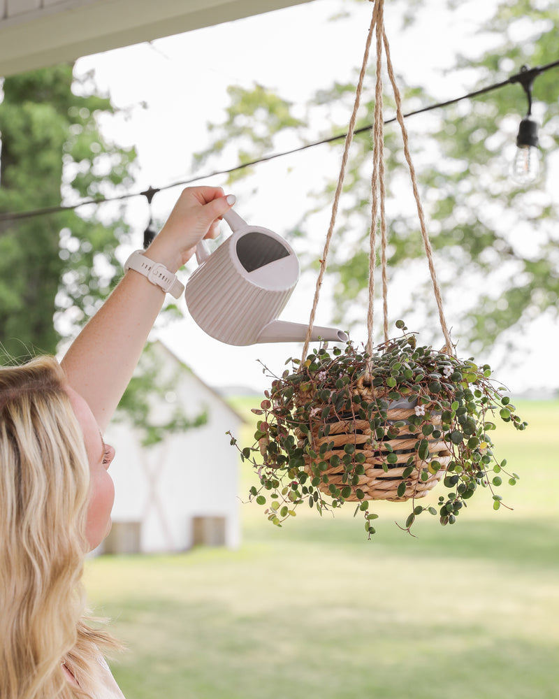 Hanging Water Hyacinth Planters