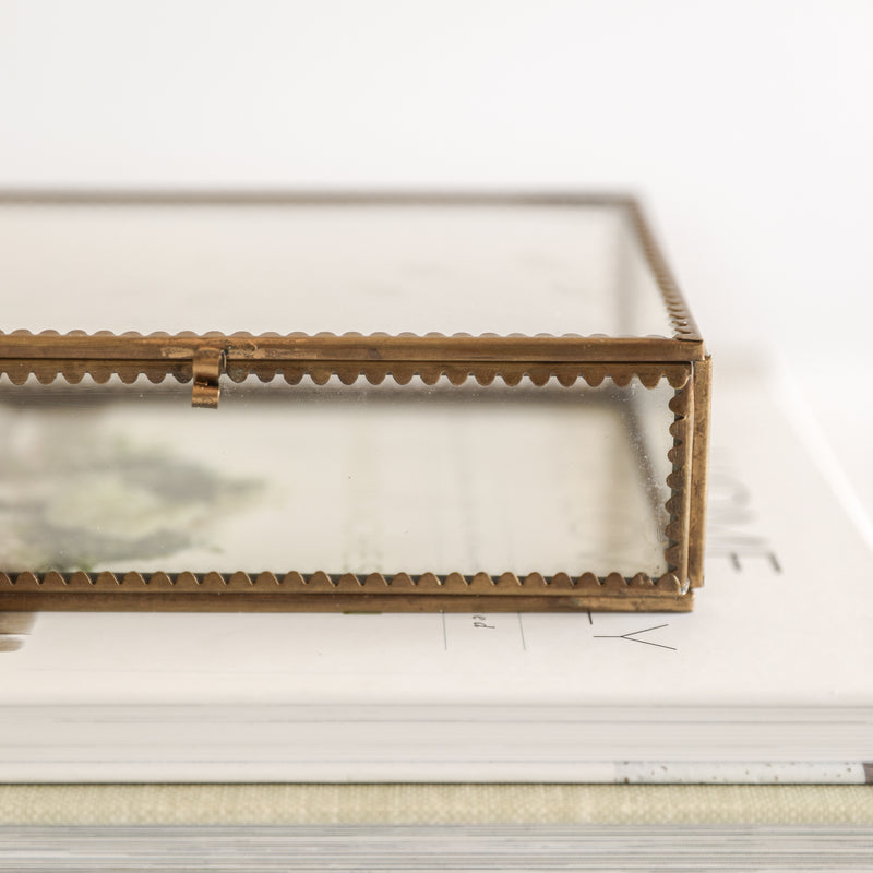 Brass & Glass Display Box with Scalloped Edges
