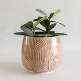 Brown Embossed Planter