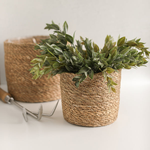 Round Hand-Woven Seagrass Basket Planters - Set of 2