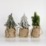 Mini Tree in Burlap