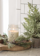 Potted Blue Spruce Tree